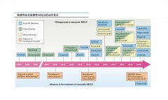 氢气通过调控CD47/CDC42通路抑制肺癌进展的研究