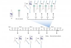 氢气解酒功能研究进展