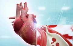 博天堂在线体外培养体系的构建与其在氢气治疗