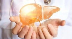 博天堂在线水对酒精诱导的肝损伤的保护作用研