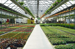 氢水养殖：新时代的绿色养殖技术