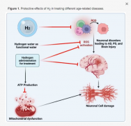 博天堂在线水、氢气在抗衰老，老年病方面有一定作用
