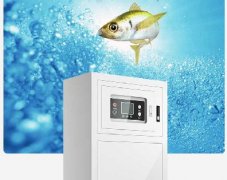 氢水养鱼：引领健康养殖新潮流