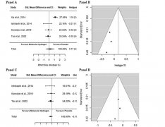 氢气尾静脉注射对大鼠肝纤维化的保护作用及其机制研究