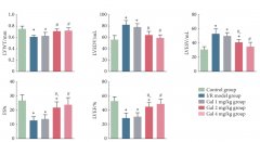 氢气在缺血再灌注损伤性疾病及器官移植中的研究进展