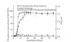 博天堂在线水对肉鸡生长性能、抗氧化能力、肉品质和盲肠微生物的影响