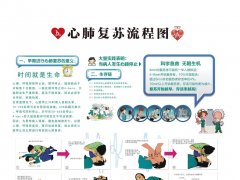 氢气改善心脏骤停/心肺复苏后大鼠心、脑损伤的作用及机制研究