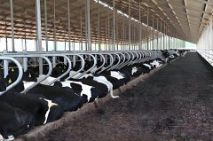 氢力泉助力氢气养殖业：引领绿色养殖新潮流