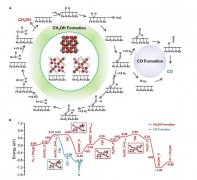 氢气调控人脐静脉内皮细胞中miRNAs与黏附分子的表达