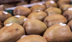 博天堂在线水采前灌溉对猕猴桃果实品质及保鲜的影响