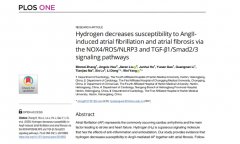 氢气：守护心脏健康的新星——揭秘其降低AngII诱导心房颤动与纤维化的神奇力