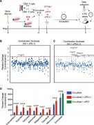 氢气与巨噬细胞联合作用：有效抑制乳腺癌细胞生长的新发现