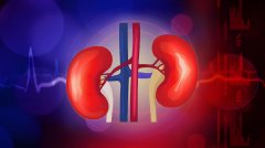 博天堂在线水改善肾结石患者血脂与肾功能的临床研究