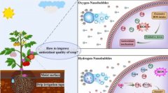 氢气纳米气泡：农业新革命，让果蔬更健康！
