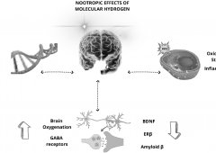 氢气作为益智剂！欧洲科学家提出新想法