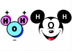 探索水分子的奇妙世界：氢键的日常魔法