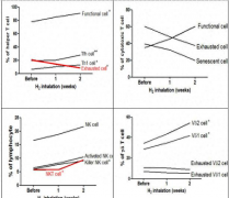 氢气健康学——氢分子对免疫力的调节作用
