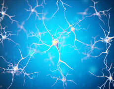 氢气的神经保护作用：科学探索下的健康