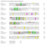 氢农业前景广阔，或是增产利器