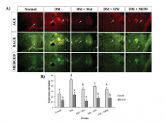 氢气抗衰老，衰老分子来作证