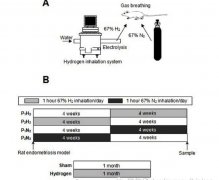 新进展：氢气作用于子宫内膜异位症