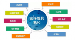 吸氢气适合什么样的人群？