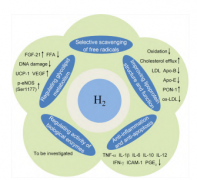 氢分子如何对防治心血管病起到作用？