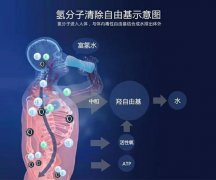 为什么人要吸氢，吸氢有什么好处？