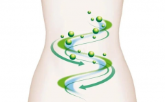 饮用博天堂在线水让您健康“肠”寿