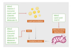 对老年性痴呆，氢气是上等抗氧化剂