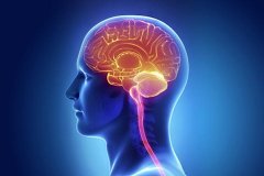 氢水辅助治疗阿尔茨海默症，有奇效