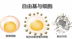 如何吸氢？吸氢的小建议