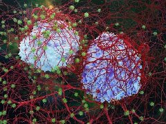 氢气医学：未来医疗的新篇章