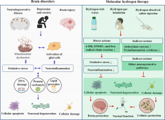 氢气和神经系统疾病最新综述