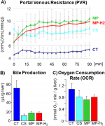 氢气有作用，绝不全能