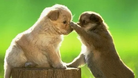 哪些老年人不容易“抑郁和痴呆”？