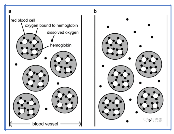 有事没事都能吸，治病还能抗衰老？来呀，一起吸~