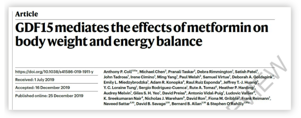 “神药”二甲双胍登上Nature主刊，二甲双胍减肥之谜终于搞清楚了
