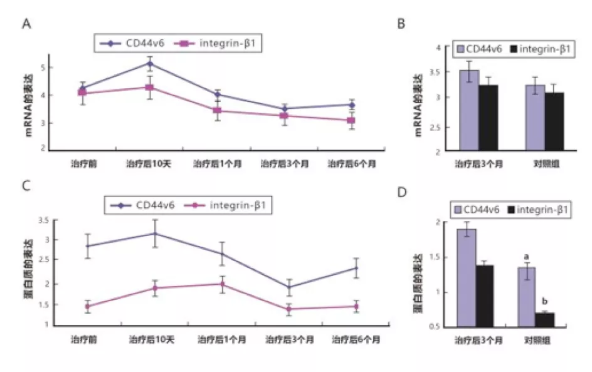 徐克成：癌症改善的反思与探索