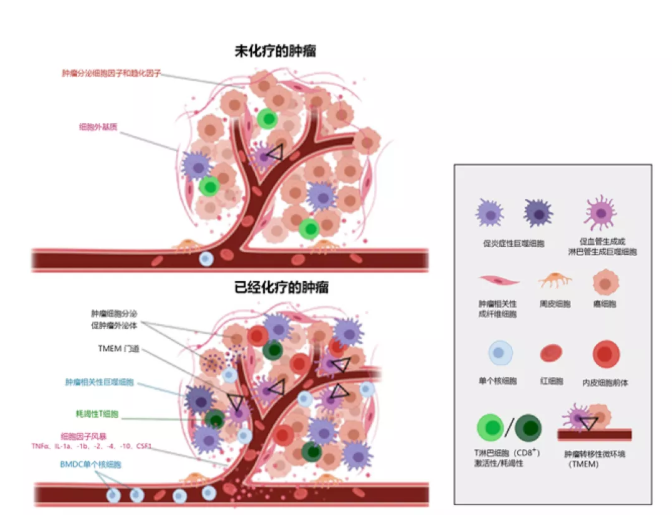 徐克成：癌症改善的反思与探索