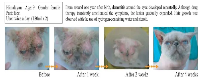 氢气凭什么如此牛？