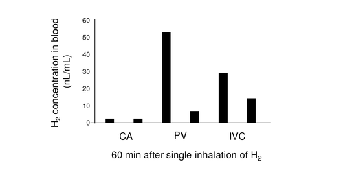 动物【细胞分解氢气】吗？关键证据来了