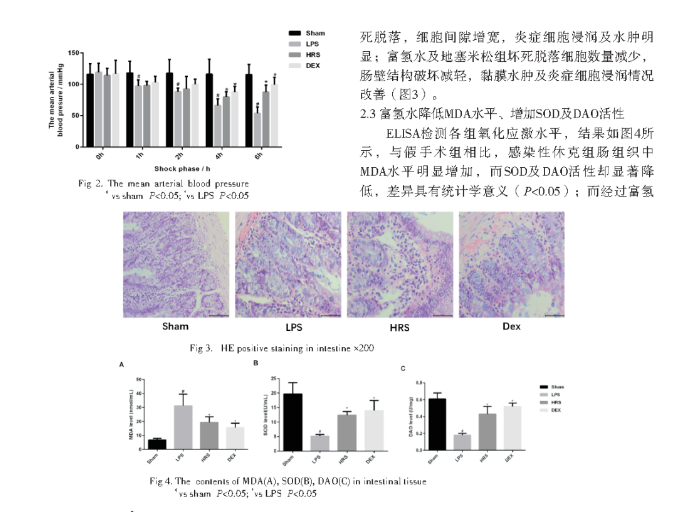 博天堂在线水对感染性休克大鼠肠损伤