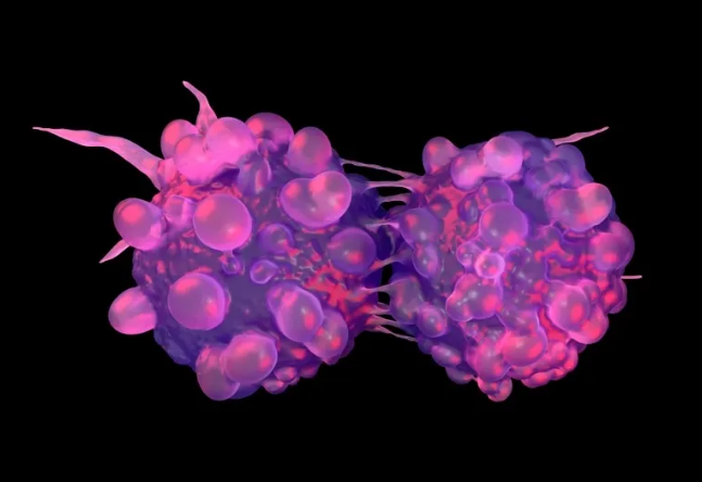 控癌之路，唯有预防！