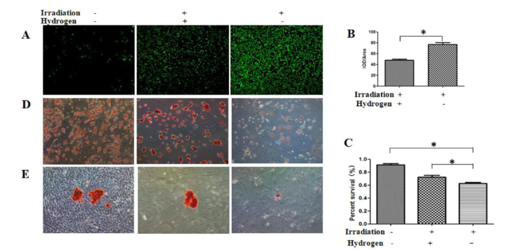 放射骨坏死难治，神勇氢气不妨一试！