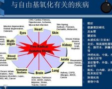 健康“氢”呼吸，身体添活力