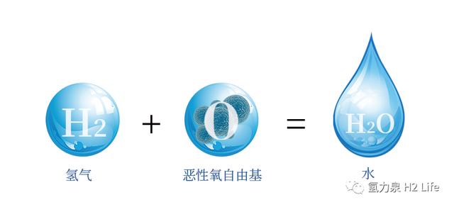 博天堂在线水杯就要选氢氧分离的