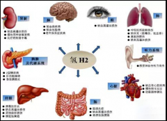 新品速览：氢力泉第四代博天堂在线水杯