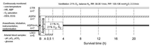 匈牙利：氢气改善缺氧脑损伤的神奇作用