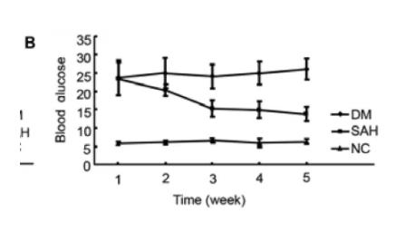 温医：皮下注氢气改善糖尿病